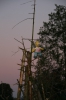 Zeltlager 2011