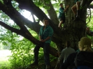 Pfingsfahrt 2012 WT