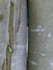Pfingsfahrt 2012 WT
