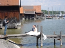 Pfingsfahrt 2012 WT