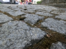Pfingsfahrt 2012 WT