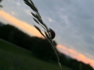 Pfingsfahrt 2012 WT