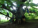 Pfingsfahrt 2012 WT