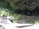 DSCN4217