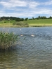 IMG-20190612-WA0053