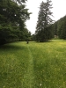 IMG-20190612-WA0062